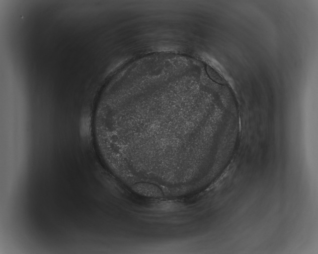 X0000100350249200806271408