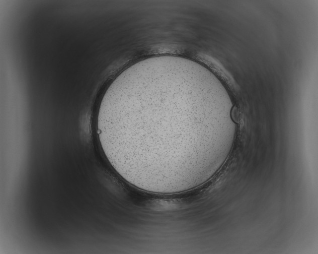 X0000100350250200806271408