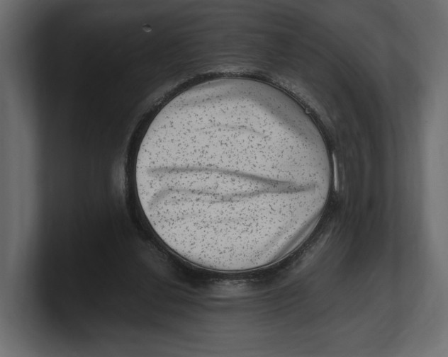 X0000100350252200806271408