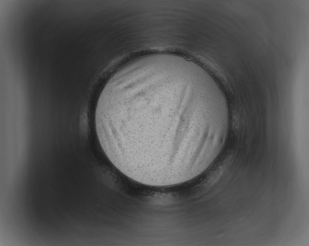 X0000100350256200806271408