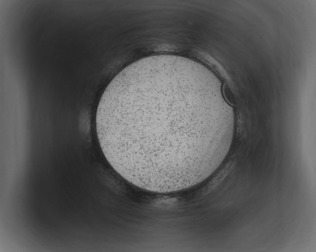 X0000100350257200806271408