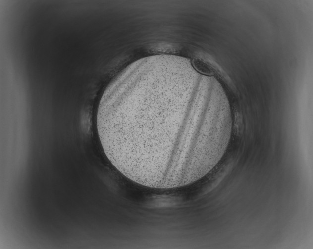 X0000100350259200806271408