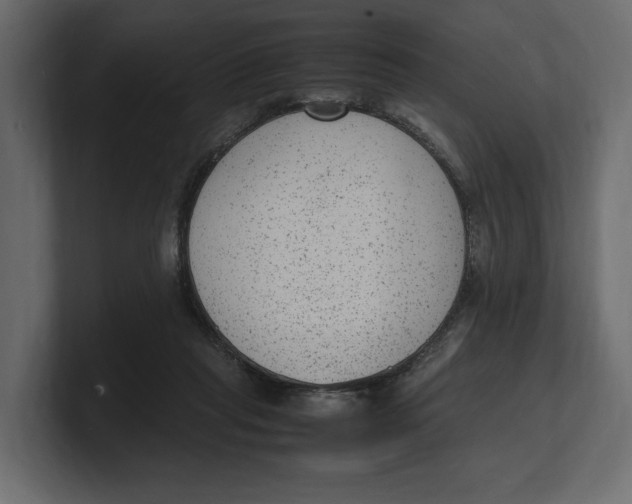 X0000100350261200806271408