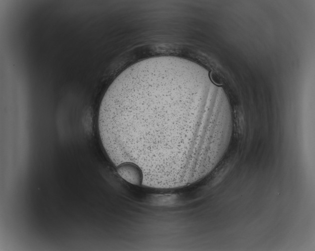 X0000100350266200806271408