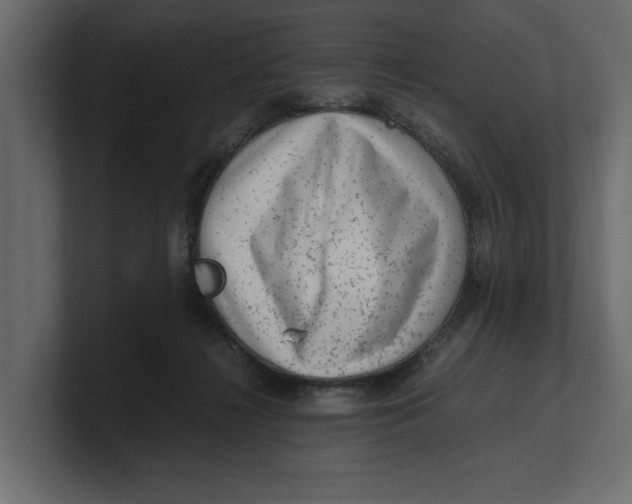 X0000100350268200806271408