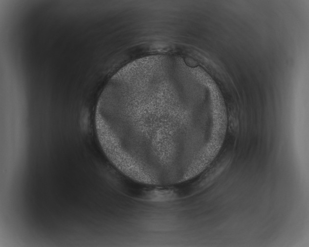 X0000100350270200806271408