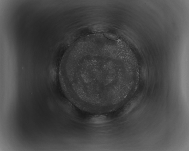 X0000100350271200806271408