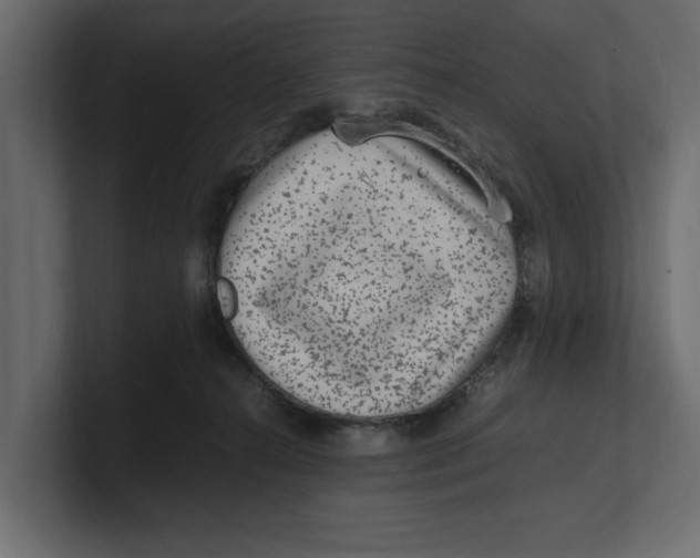 X0000100350272200806271408