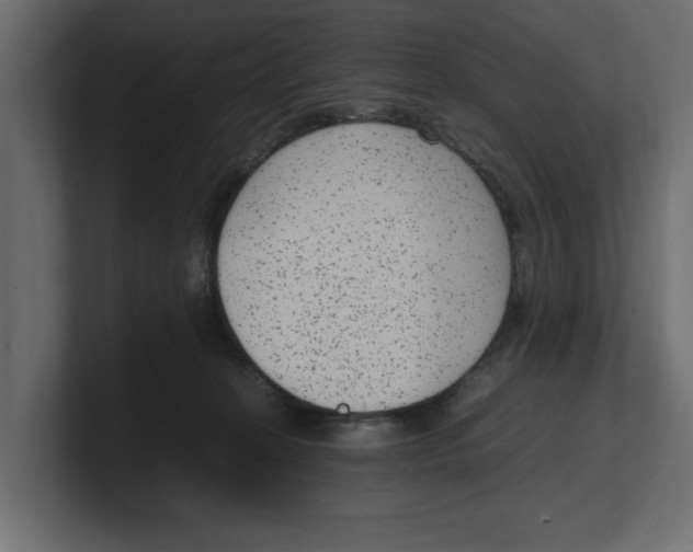 X0000100350274200806271408