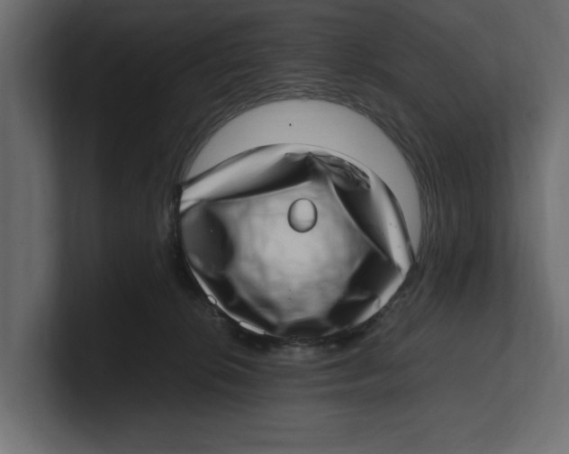 X0000100350276200806271408