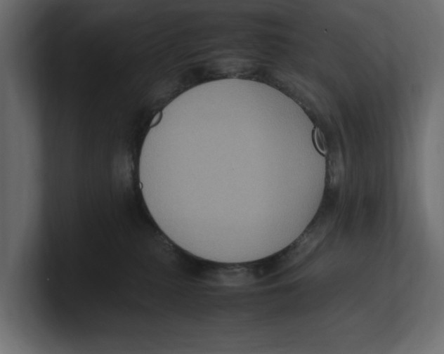 X0000100350279200806271408