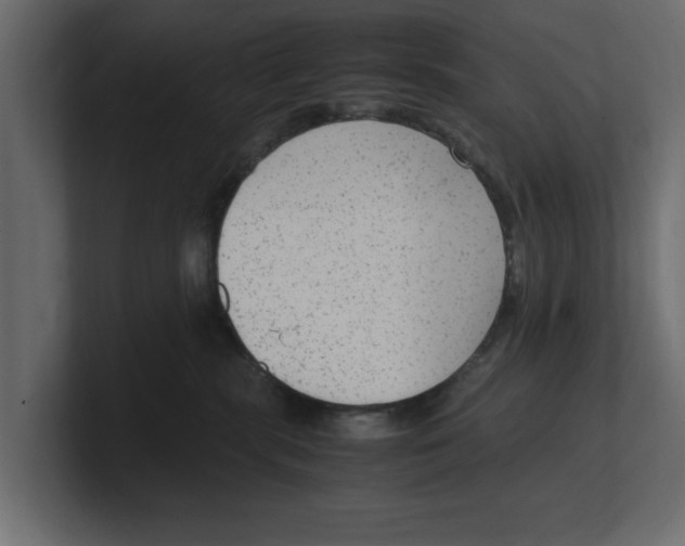 X0000100350283200806271409