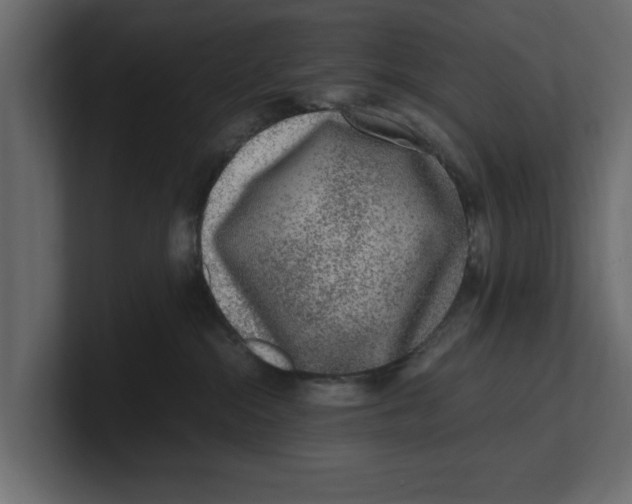 X0000100350284200806271409