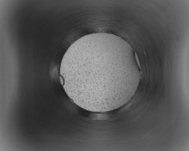 X0000100350286200806271409