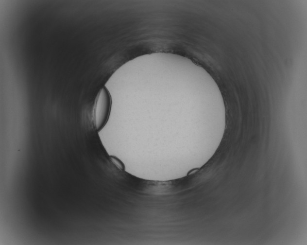 X0000100350288200806271409