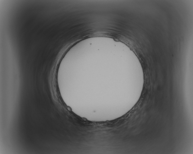 X0000100350289200806271408