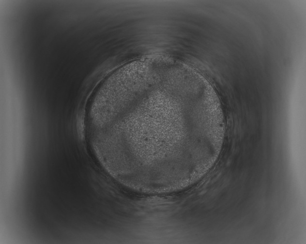 X0000100350290200806271408