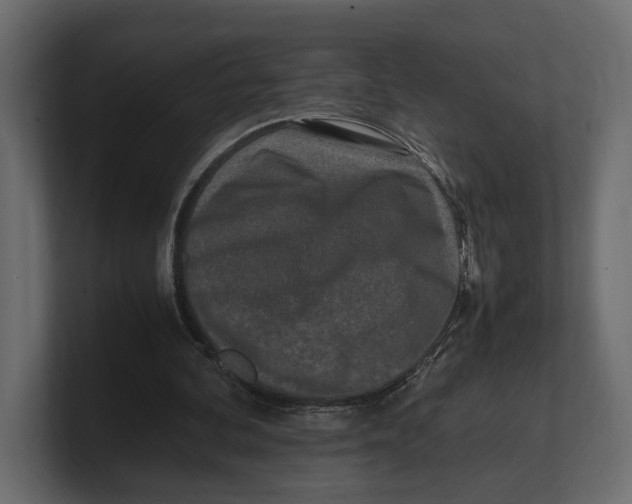 X0000100350292200806271408