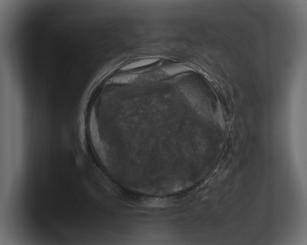 X0000100350293200806271408