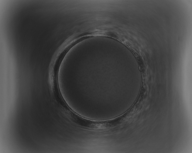 X0000100350295200806271408