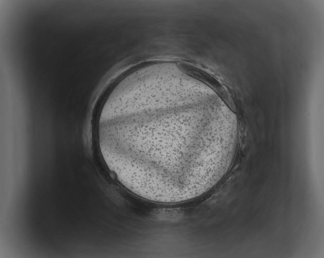 X0000100350296200806271408