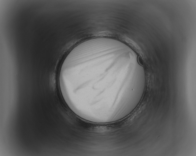 X0000100350298200806271408