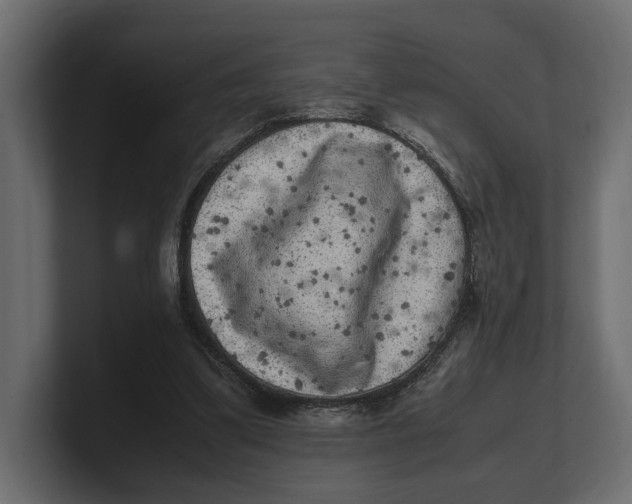 X0000100350299200806271408