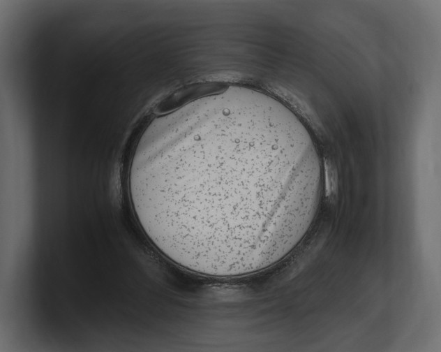 X0000100350300200806271408