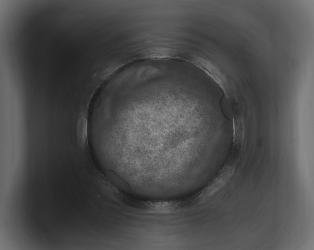 X0000100350301200806271408