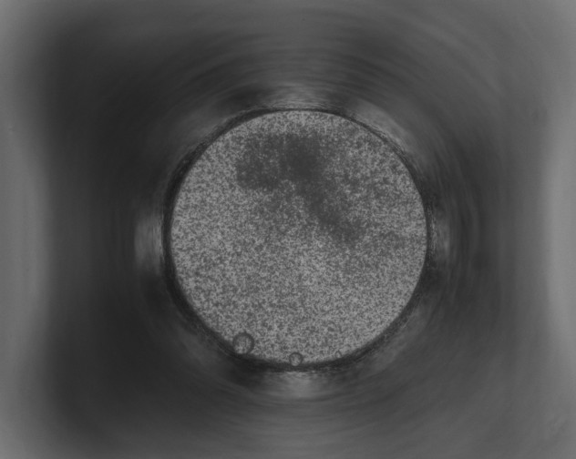 X0000100350302200806271408