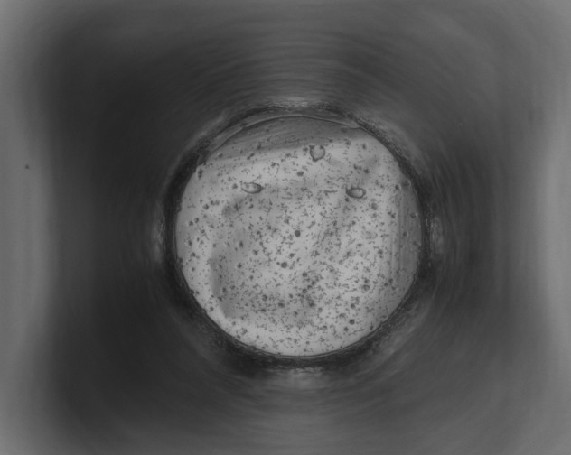 X0000100350304200806271408