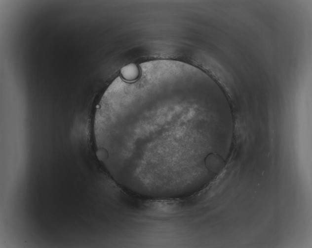 X0000100350305200806271408