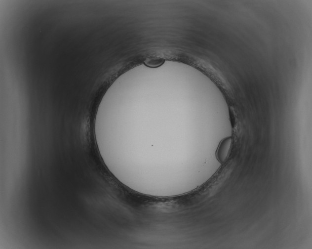 X0000100350306200806271408