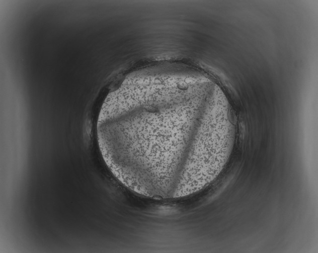 X0000100350308200806271408