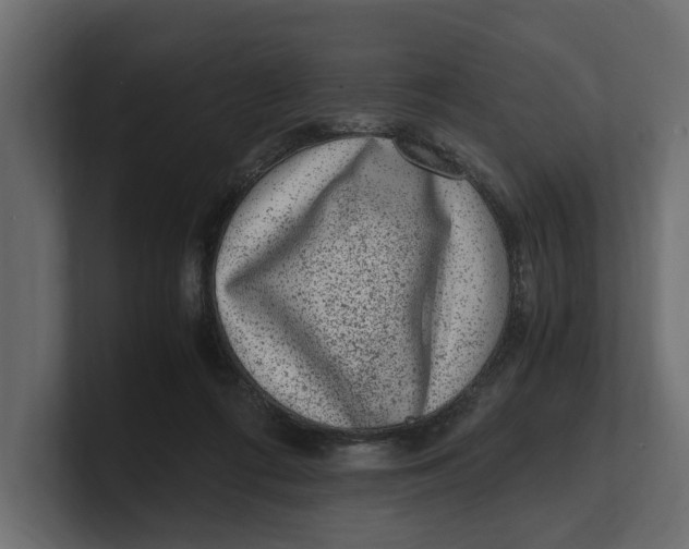 X0000100350312200806271408