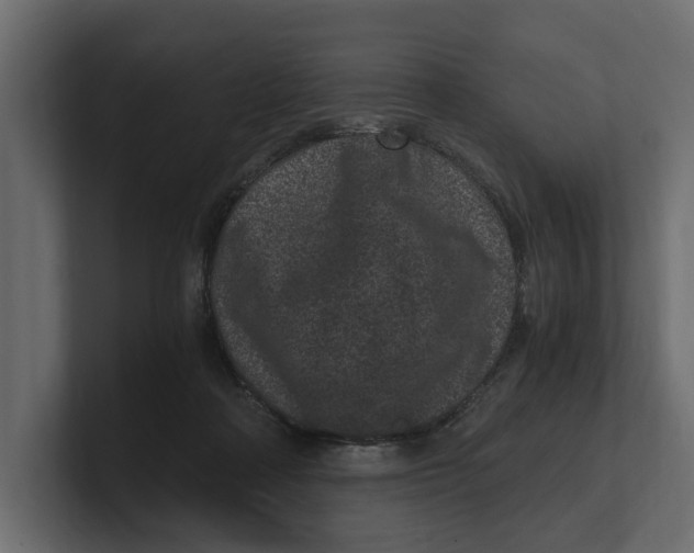 X0000100350314200806271408