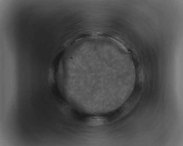 X0000100350316200806271407