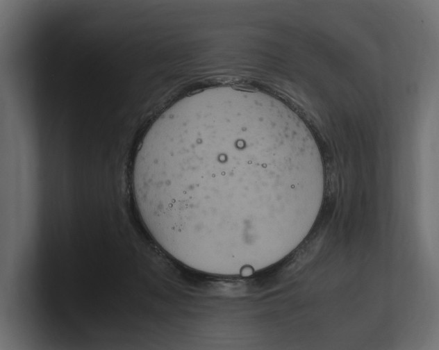 X0000100350317200806271407