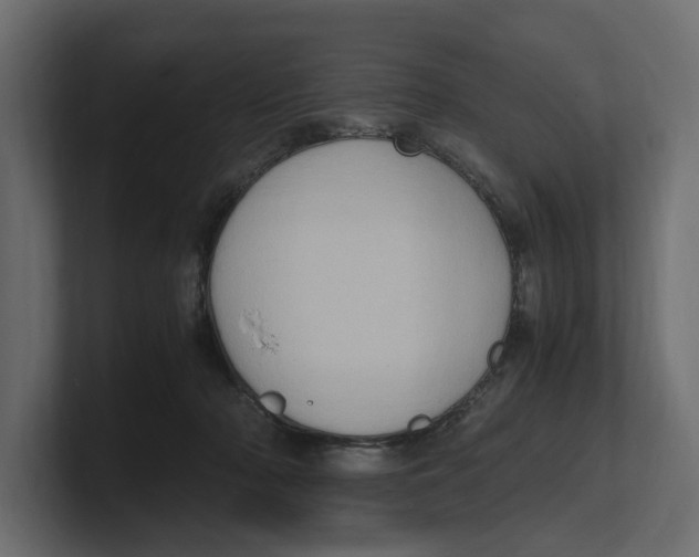 X0000100350318200806271407