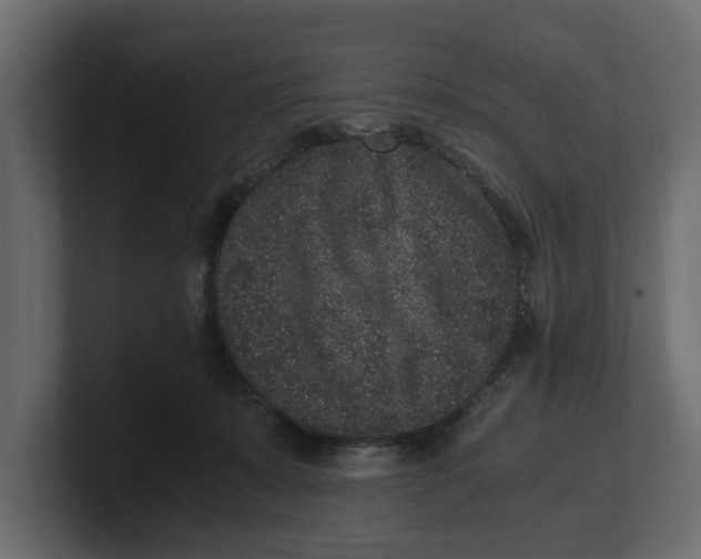 X0000100350319200806271407