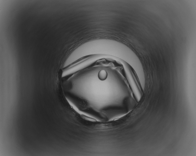 X0000100350320200806271407