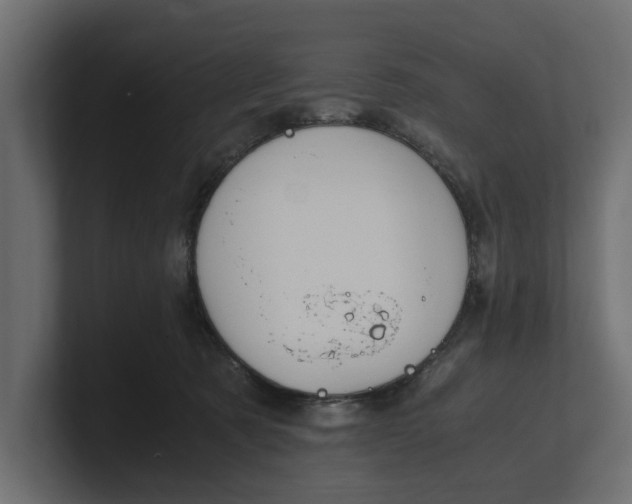 X0000100350321200806271407