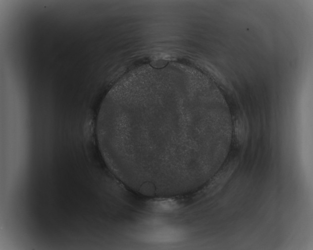 X0000100350322200806271407