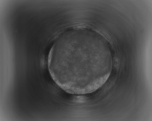 X0000100350324200806271407