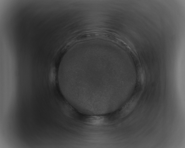 X0000100350328200806271407