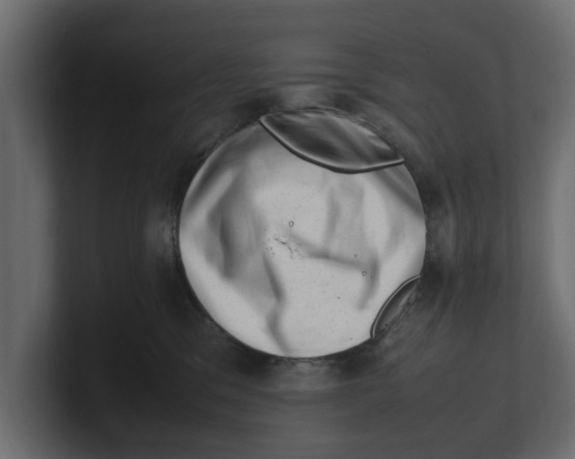 X0000100350329200806271407