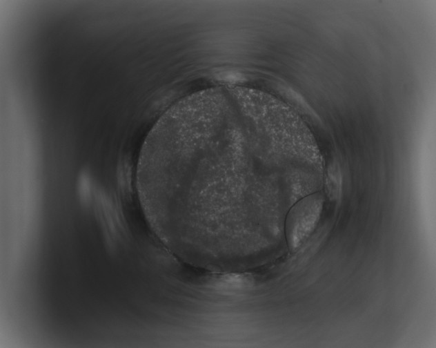 X0000100350330200806271407