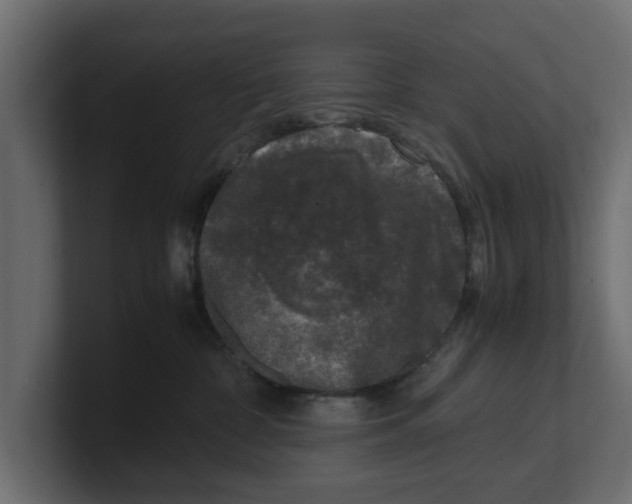 X0000100350332200806271407