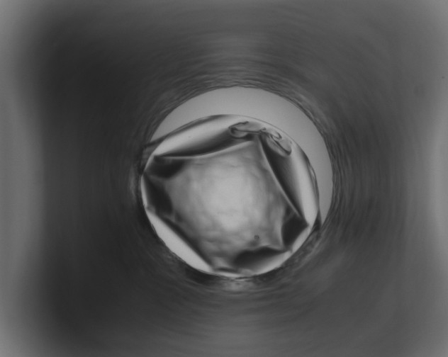 X0000100350333200806271407