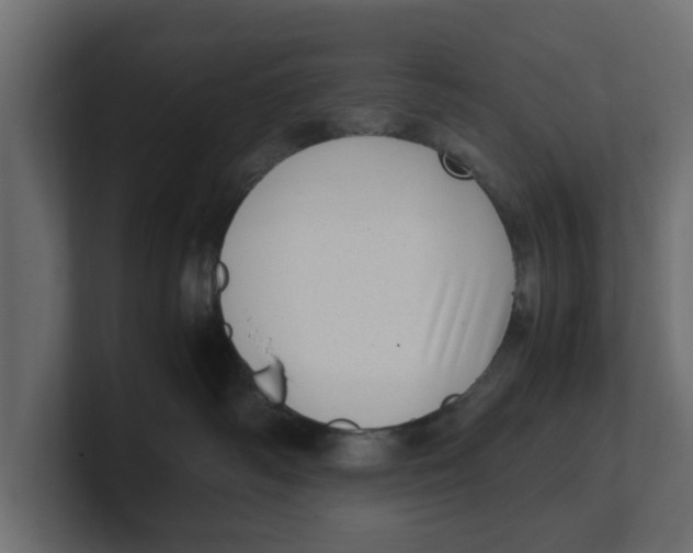 X0000100350334200806271407